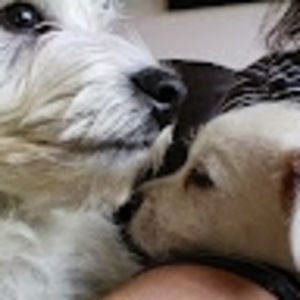 Meet your Posher, Sylvie